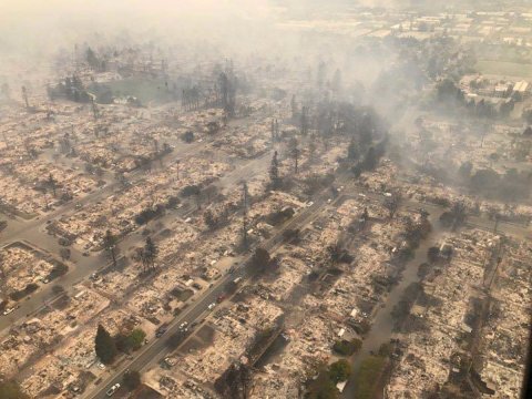 Life In The Anthropocene: Field Notes From The Santa Rosa Fires, By Dianne Monroe
