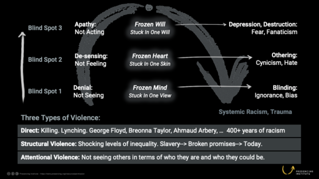 Shadow as the Source for Transformation. Otto Scharmer | Living Resilience